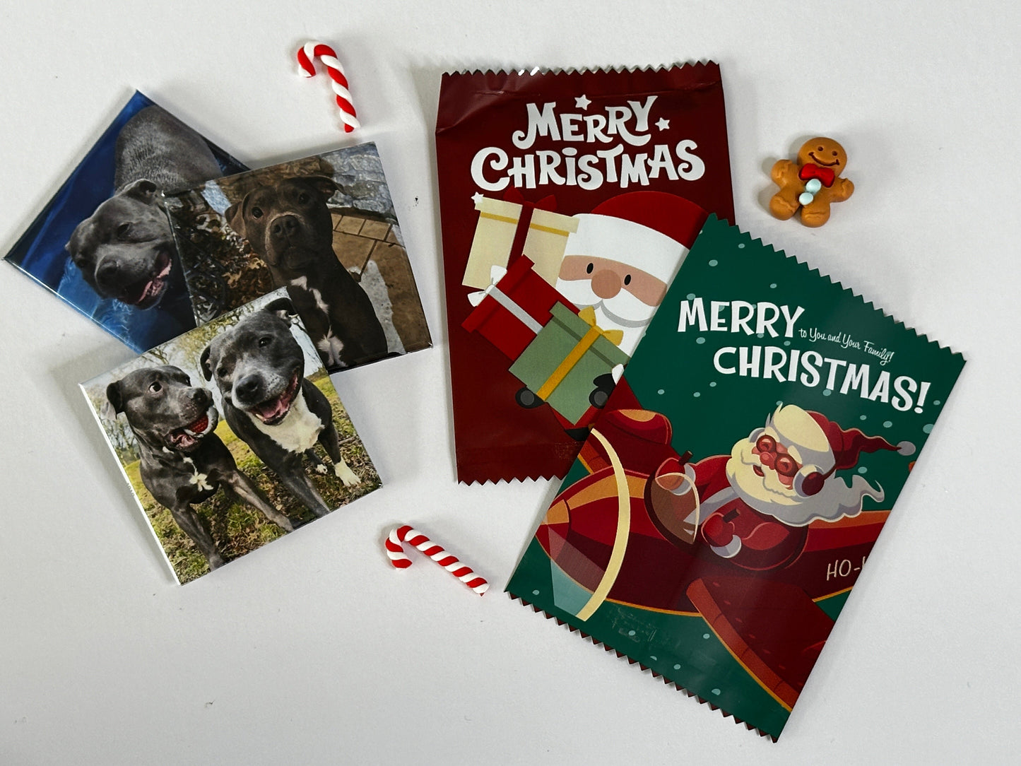 CUSTOM PHOTO MAGNET IN A CHRISTMAS COOKIE BAG STOCKING FILLER 